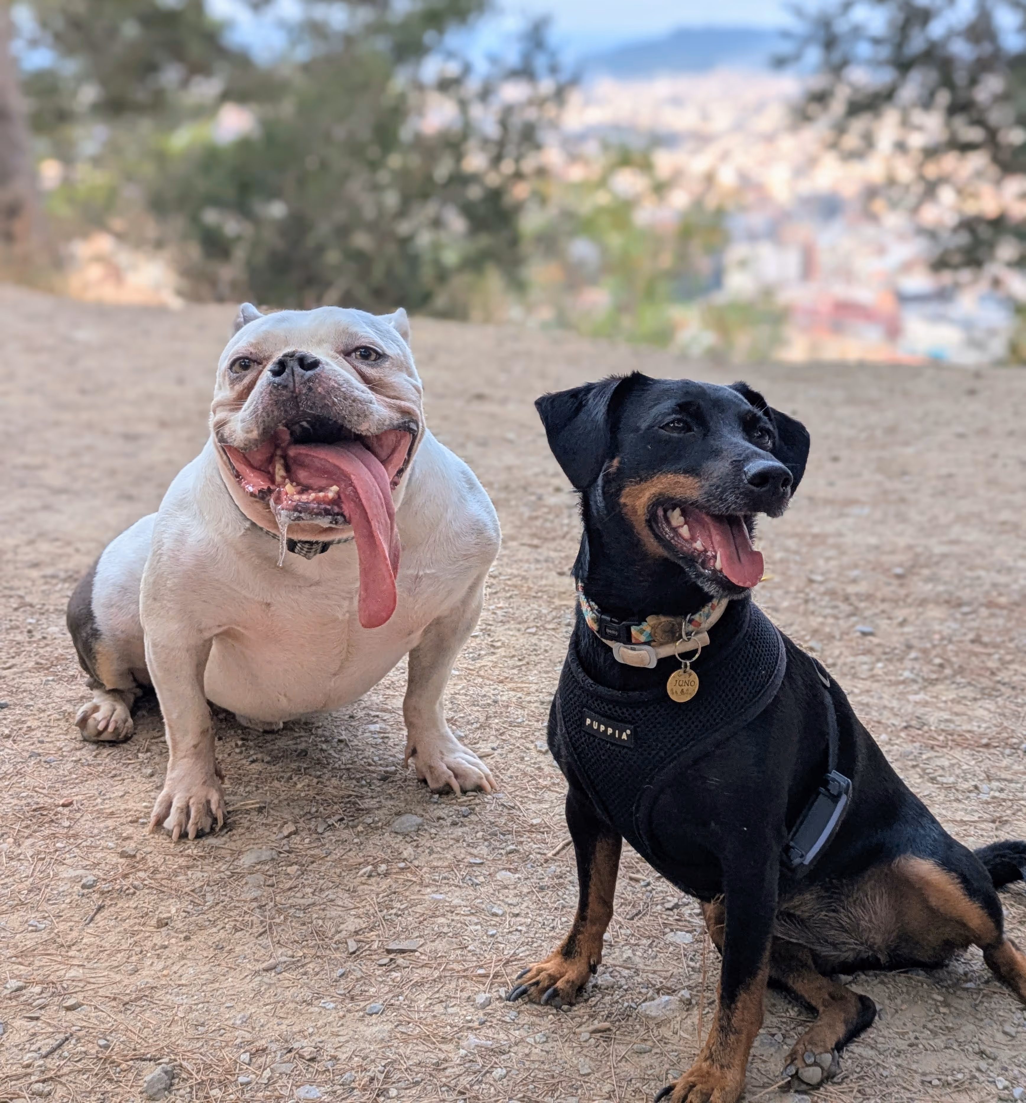 Juno & Byron